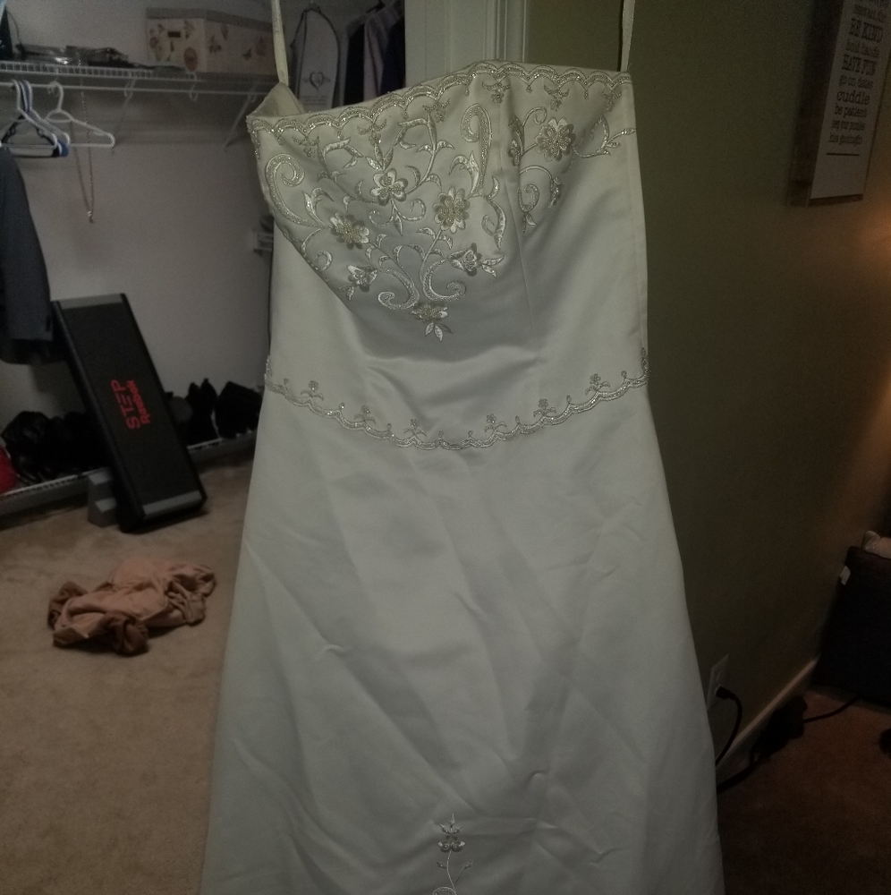 Wedding dress size 18 St.tropez David Bridal